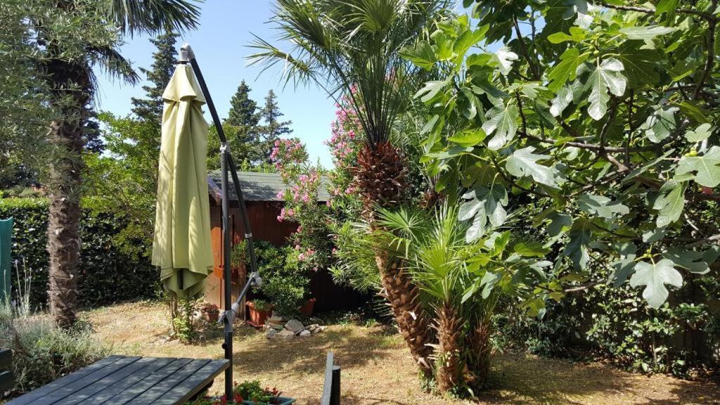 Apartments Mirjana โนวีวีโนดอลสกี ภายนอก รูปภาพ